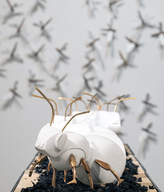 Deus sive natura - Opere di Silvia Scaringella