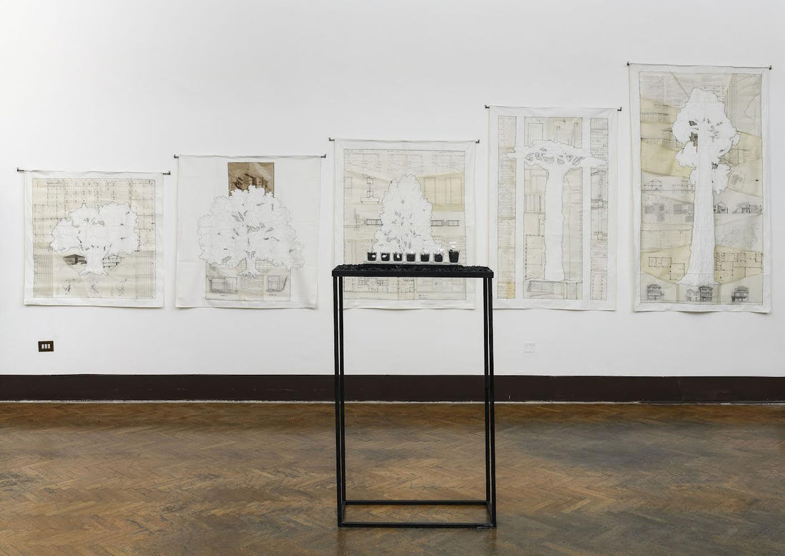 Deus sive natura - Opere di Silvia Scaringella